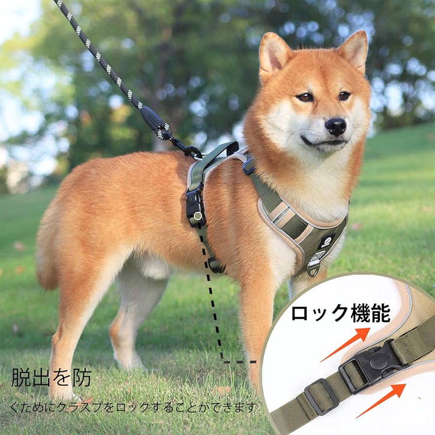 MURRAL タグ付き　ハーネス MURRAL タグ付き ハーネス 楽天市場】犬 ハーネス 名前（カラー